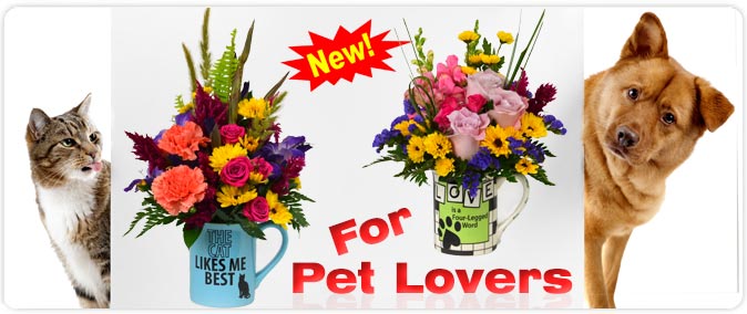 Pet-Lovers-Banner