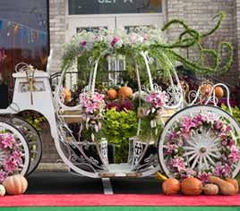 Karin’s Florist Hosts a ‘Cinderella Dream Celebration