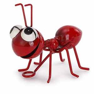 Happy Red Ant