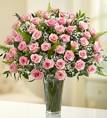 48 pink roses
