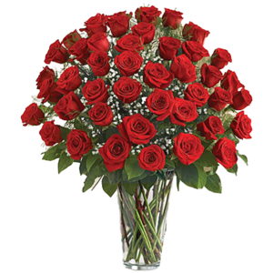 Four Dozen Roses Arrangement