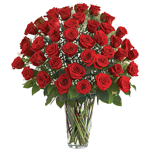 Four Dozen Roses Arrangement