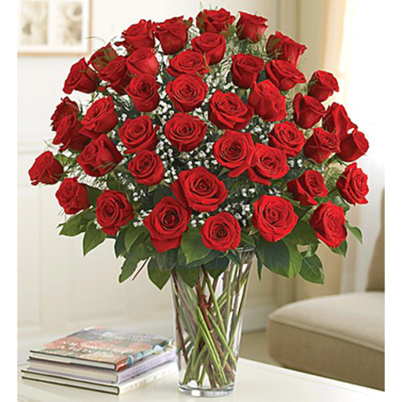 Four Dozen Roses Arrangement