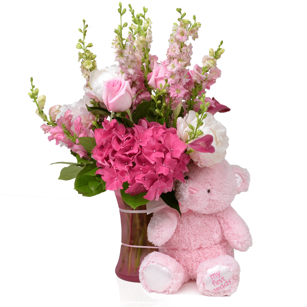 Anniversary Teddy Bears Pink Gift Box 12 Birthday Bouquet Novelty Dozen 