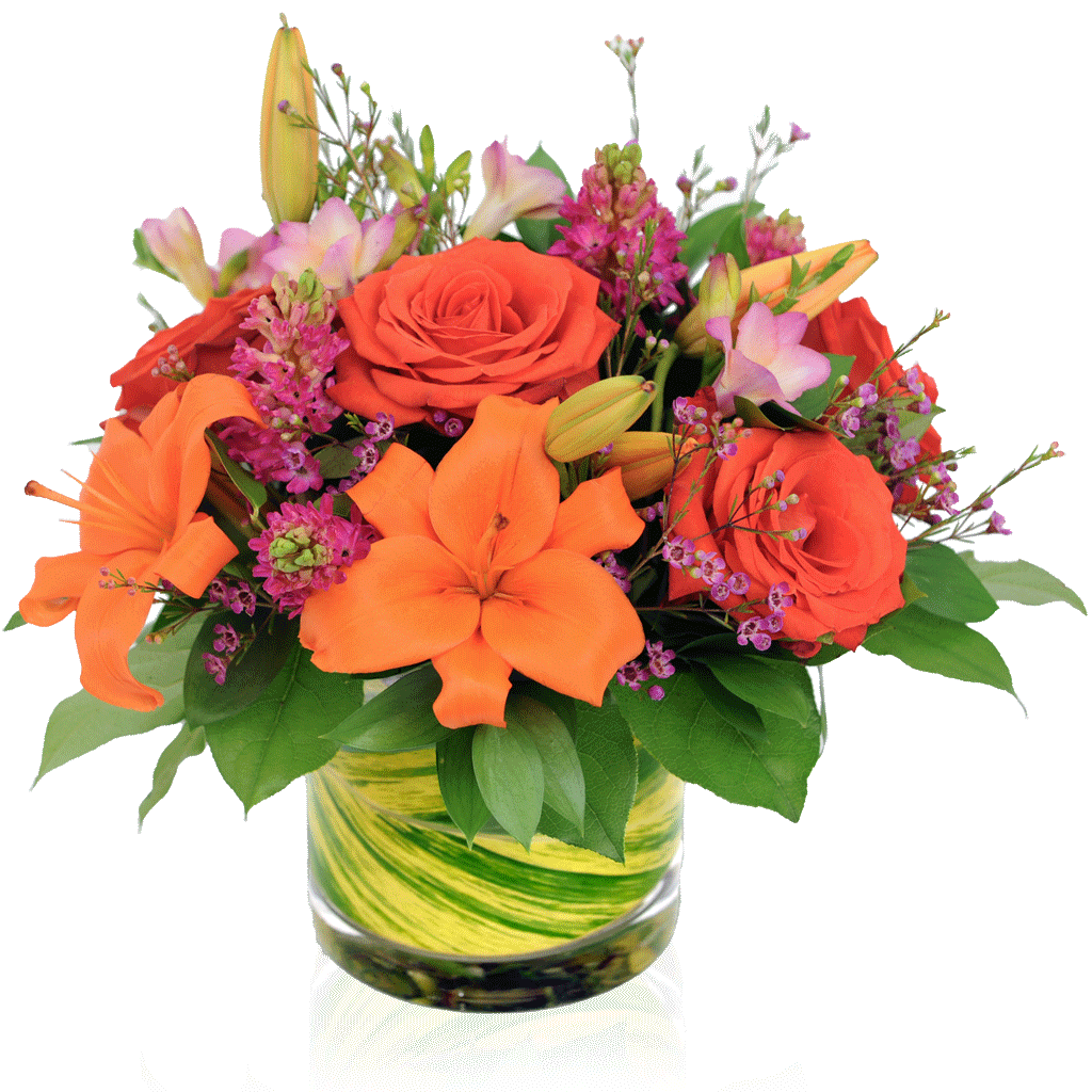 Radiant Paradise Bouquet | Flowers | Disney Flowers | Karin's Florist