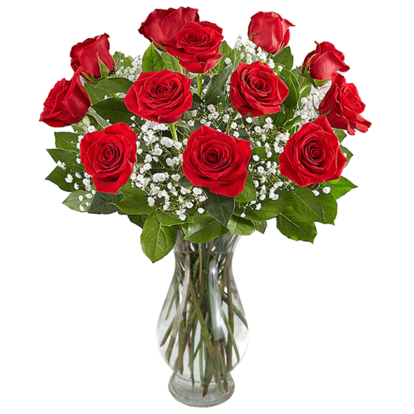 12 Roses Arrangement from Karin's Florist - Same day delivery