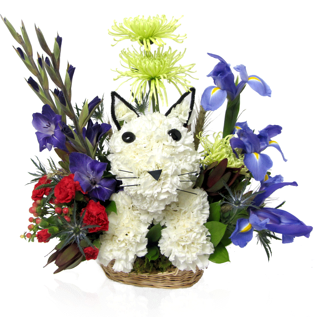 Floral Kitty Cat Flowers Disney Flowers Karin S Florist
