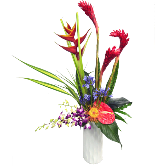 Hawaiian Holiday
