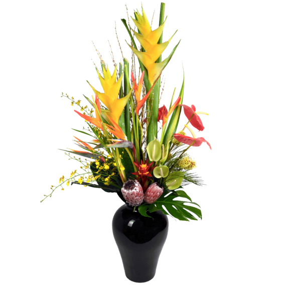 Tropical Masterpiece