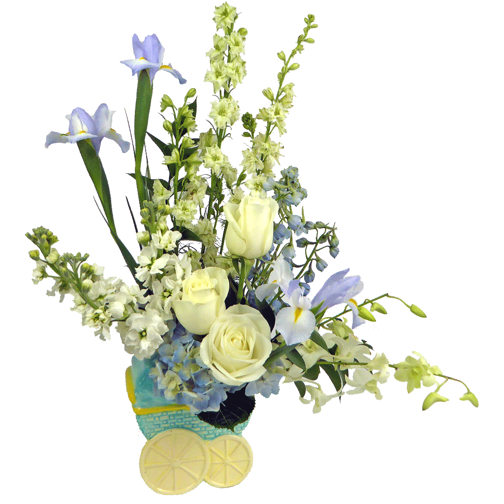 New Baby Boy Flowers And Gifts Newborn Baby