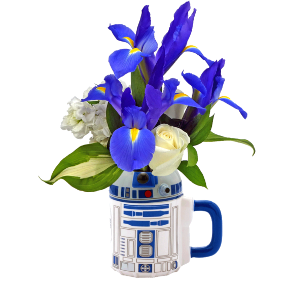 R2D2 Flower Mug