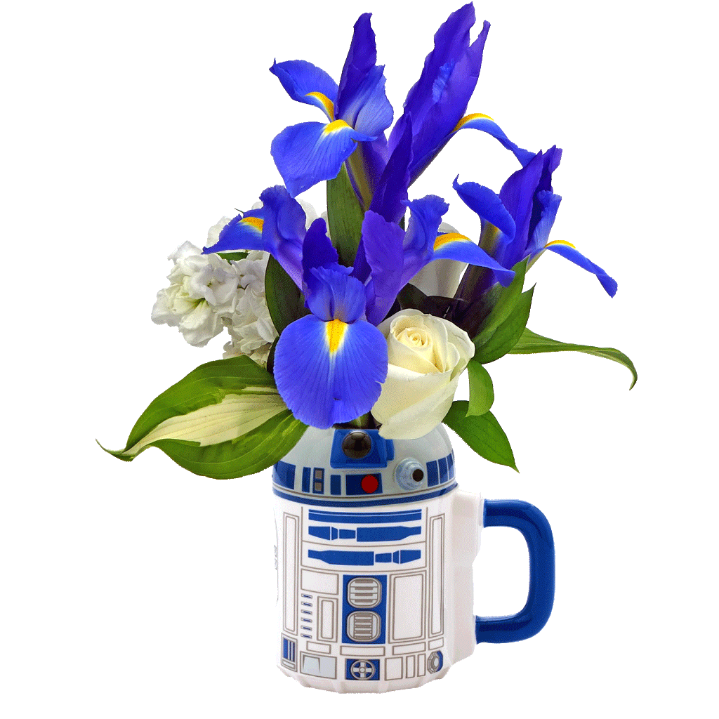 star wars flower vase