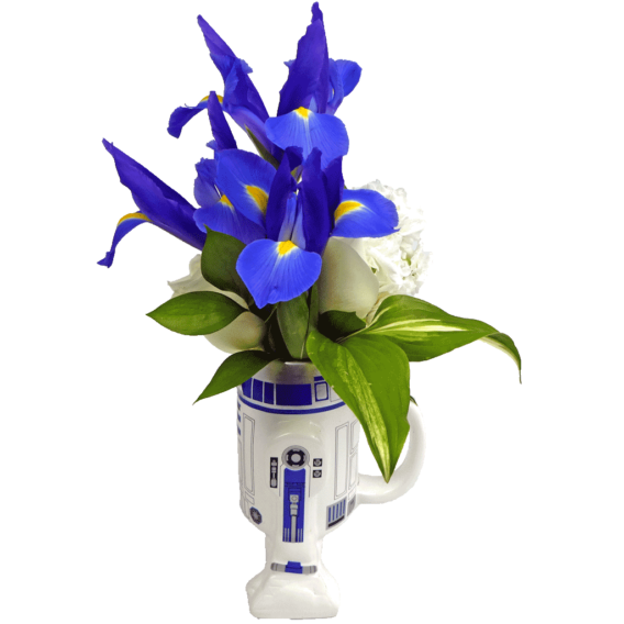 R2-D2 Flower Mug