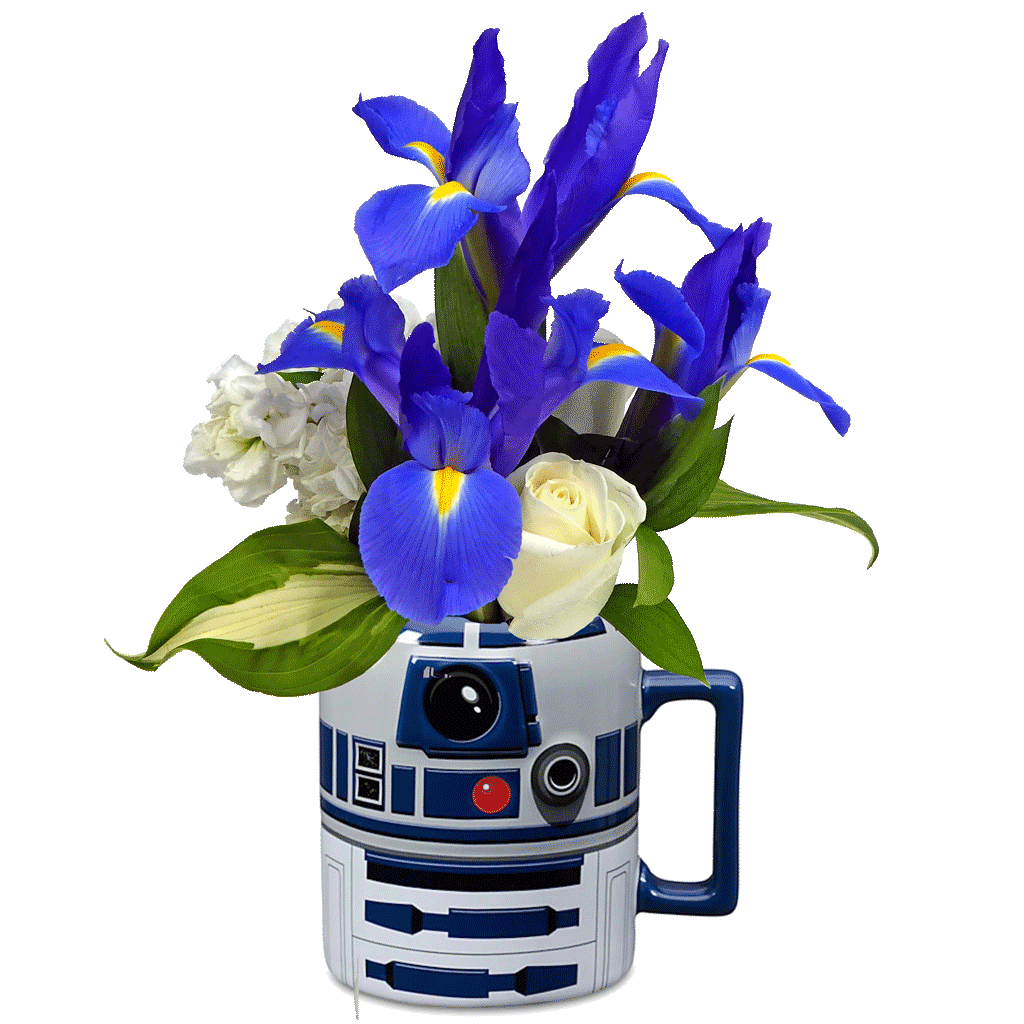 Star Wars R2-D2 Flower Mug