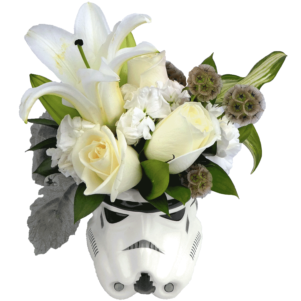 star wars flower vase
