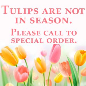 Tulips are out of Season