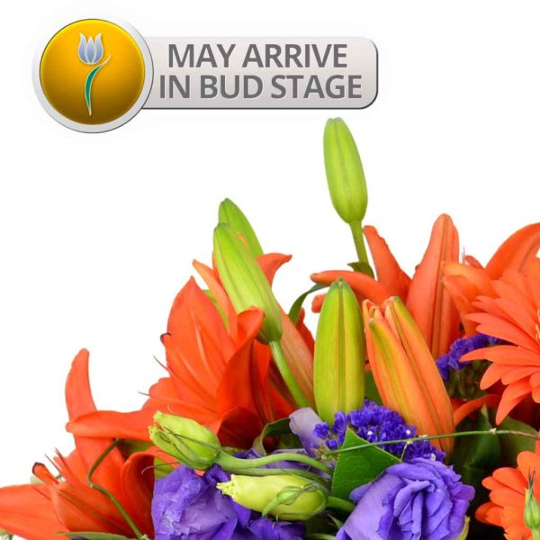 Rio Carnival Bouquet