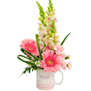 new baby flowers and teddy