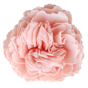 Heaven Scent Soap Flower