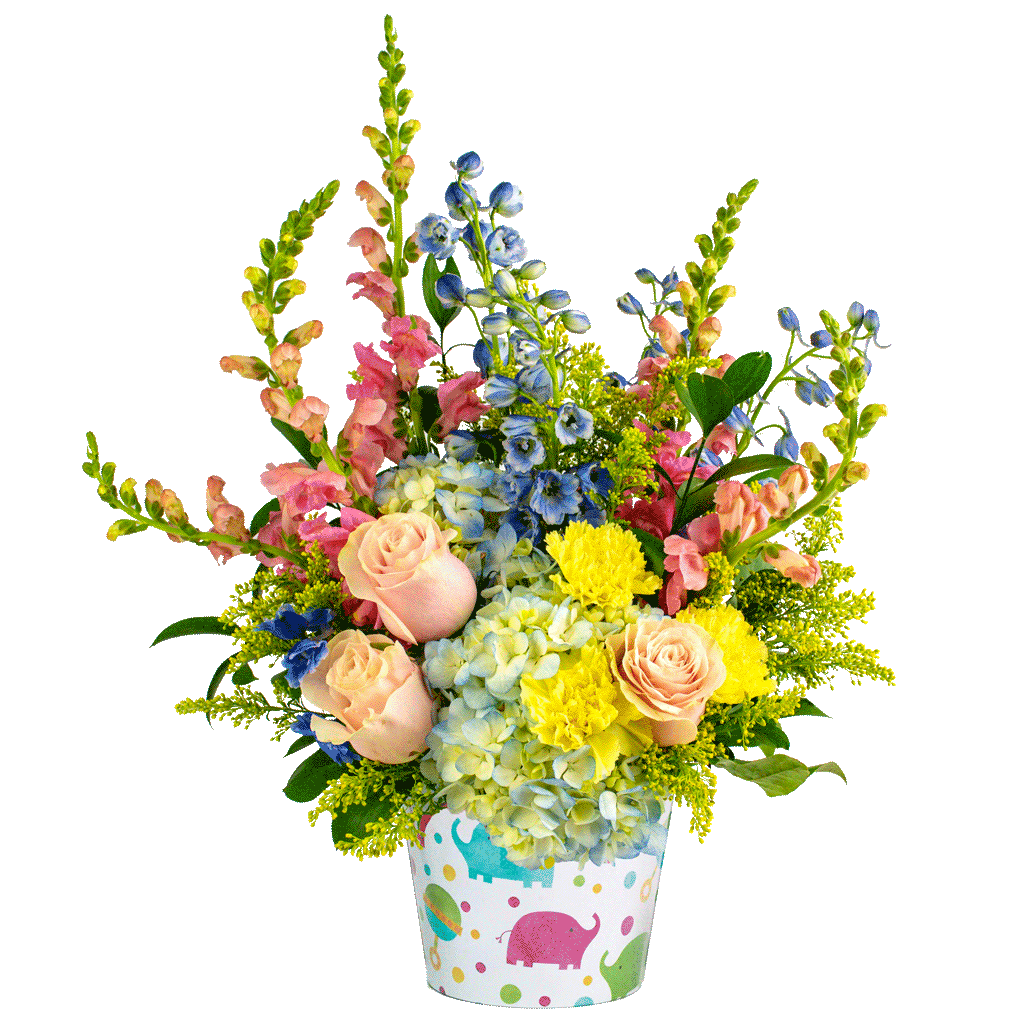 New Baby Flower Arrangements from Karin's Florist - Same Day Delivery