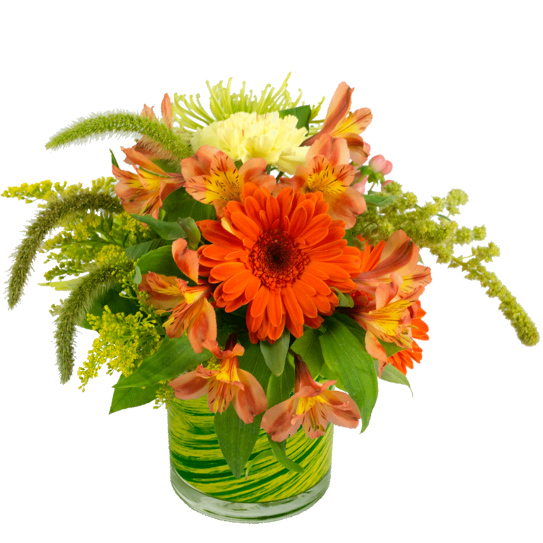 Trending Flowers Send Flowers Karin's Florist in Vienna, VA