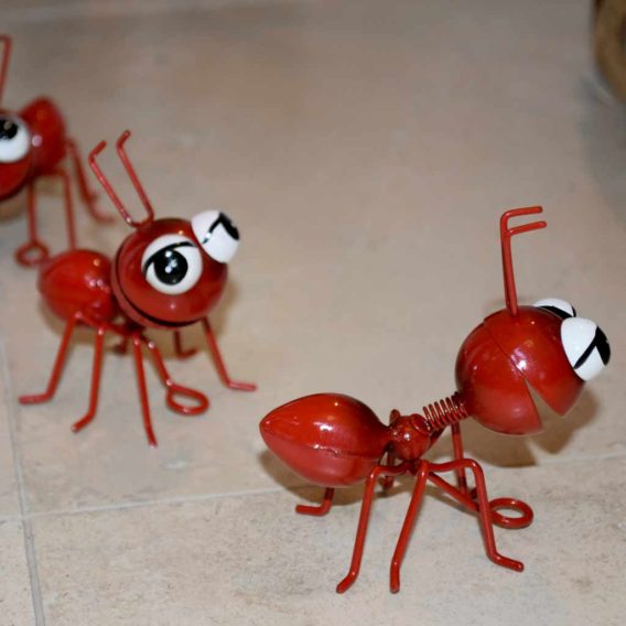 Happy Red Ant