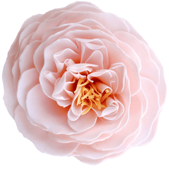 Cherry Blossom Heirloom Rose Soap Flower