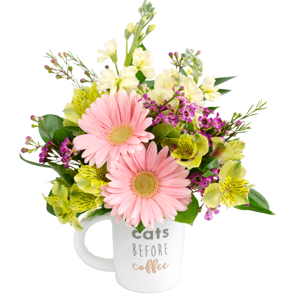 Cats Before Coffee Bouquet Flowers Disney Flowers Karin S Florist