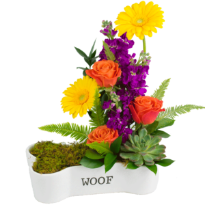 Dog-bone Dish Bouquet