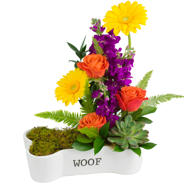 Dog-bone Dish Bouquet