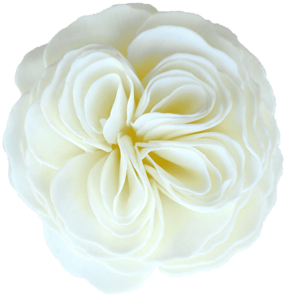 Honeysuckle Heirloom Garden Rose Soap Flower Flowers Disney Flowers Karin S Florist