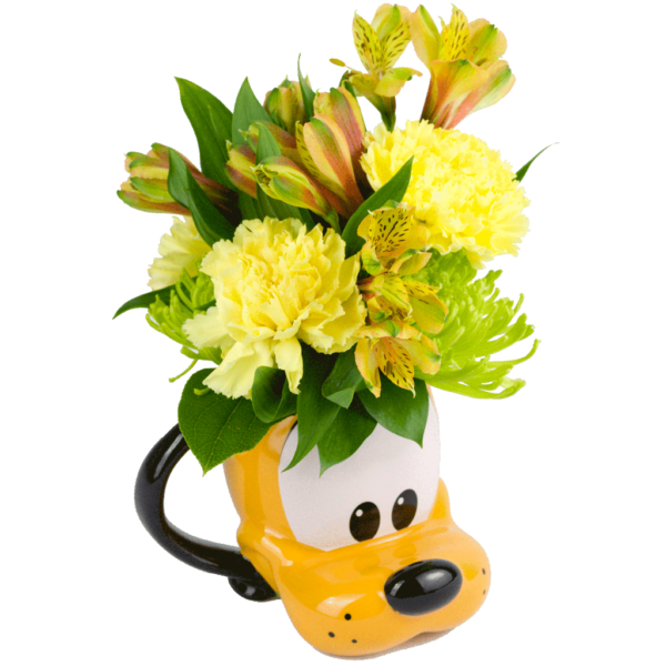 Pluto Mug Bouquet
