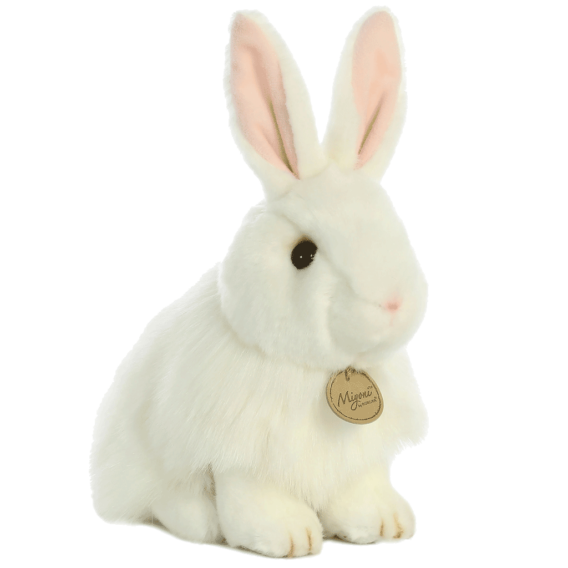White Angora Rabbit