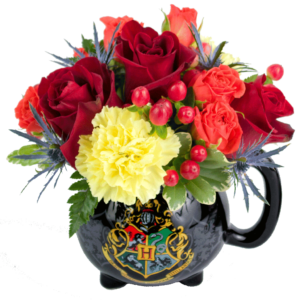 Harry Potter Cauldron Flower Mug