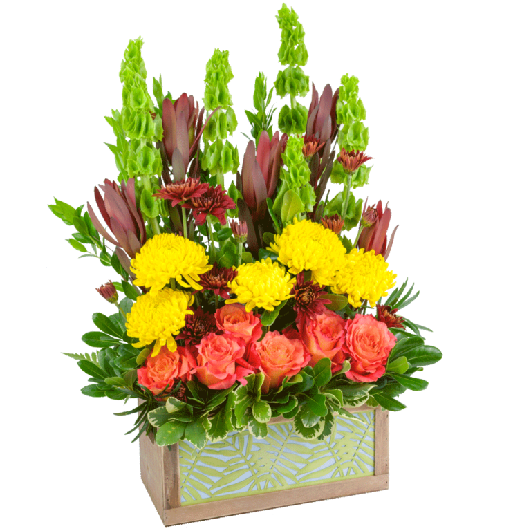 Trending Flowers Send Flowers Karin's Florist in Vienna, VA