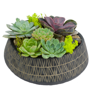 Deluxe Succulent Garden Planter