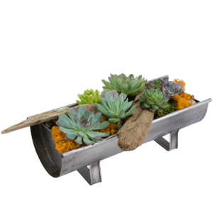 Premium Succulent Planter