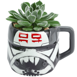 Star Wars Wrecker Succulent