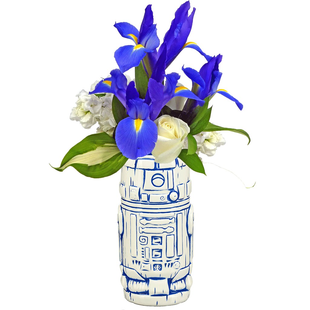 Get Well Flowers from Karin's Florist Fairfax & Reston Hospitals, Inova,