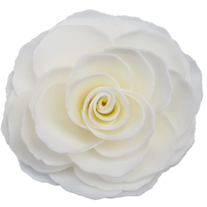 Graceful Day Gardenia