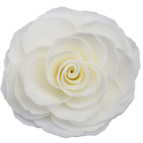 Graceful Day Gardenia