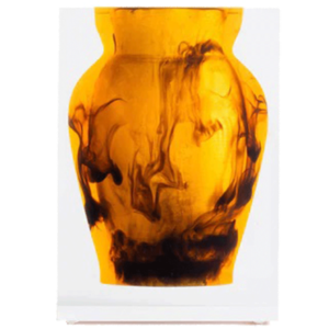 Luxury Acrylic Tortoise Henry Vase