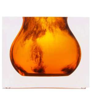 Luxury Acrylic Tortoise Mosco Vase