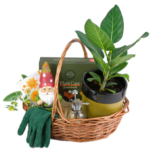 The Green Thumb Gift Basket