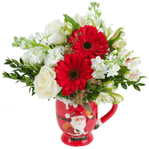 Festive Winter Wonder Mug Bouquet