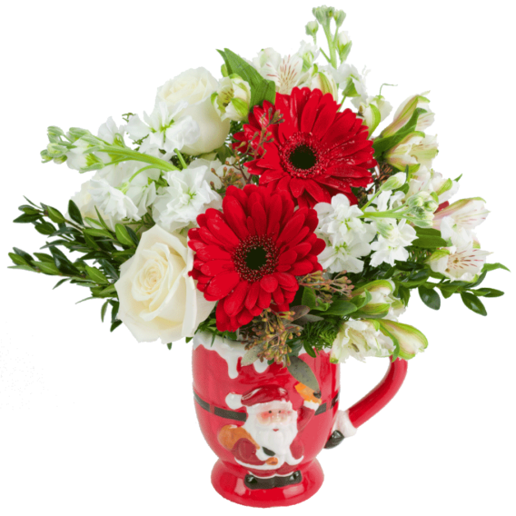 Festive Winter Wonder Mug Bouquet