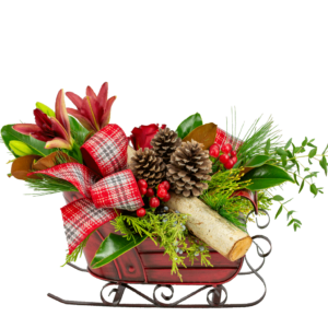 Sleighful of Cheer Bouquet
