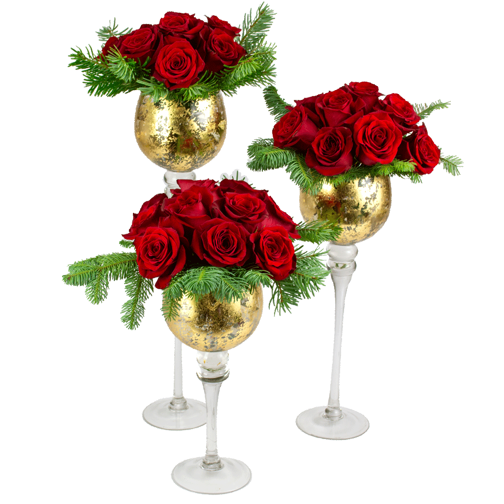 Seasons-Greetings-Rose-Medley Season's Greetings Rose Medley