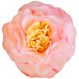 Elenora Soap Flower