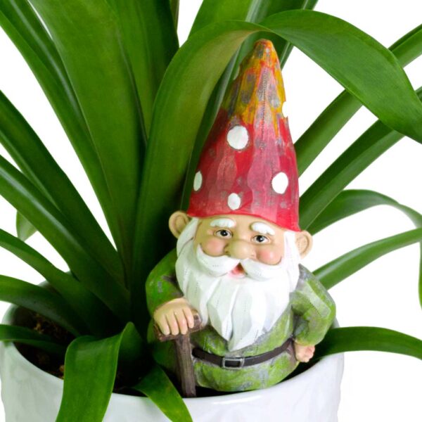 Bromeliad Plant with Gnome